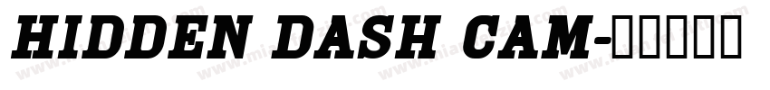 Hidden Dash Cam字体转换